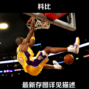 车辆行驶证怎么仿制
